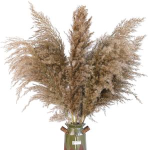 <span class=keywords><strong>Vase</strong></span> de sol en herbe de la <span class=keywords><strong>pampa</strong></span> naturelle séchée <span class=keywords><strong>beige</strong></span>, arrangements floraux bohèmes, ajoute une touche de style bohème, longue durée, Nouvel An - Product Image 4