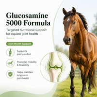 Service OEM/ODM : Supplément de Glucosamine pour Chevaux 5000, Poudre 16 Oz, Soutien pour la Santé des Hanches et des Articulations des Chevaux