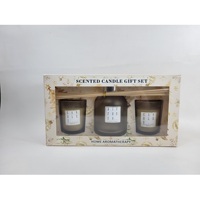 Difusor de Aromaterapia de Vidrio Líquido sin Alcohol de Larga Duración (4 Meses), 100 ml, Bajo MOQ, Alta Calidad, Premium, Hecho a Máquina