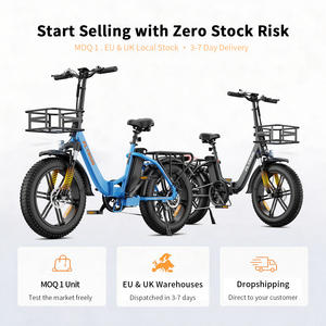 Vélo électrique pliable 20 pouces 250W 25KM/H certifié CE EN15194 StVZO 48V13Ah 120KM Pneus larges à cadre basé Vente en gros entrepôt UE/Royaume-Uni - Product Image 2