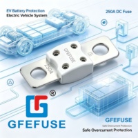 Fusible céramique ANL haute performance 100A-600A 125V/150V DC, porte-fusibles auto de haute qualité à visser, bornes en alliage de cuivre pour