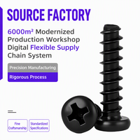 M1 M5 Phillips Pan Head Self Tapping Screw Carbon Steel Black Finish Flat Point Fastener