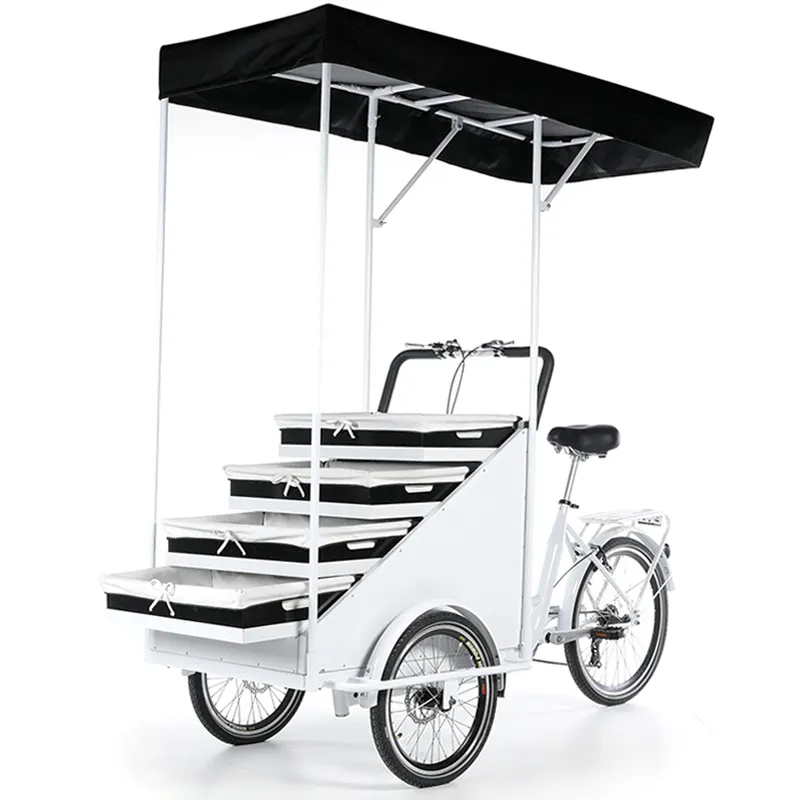 2024 vente chaude tricycles chariot de nourriture trike distributeurs automatiques vélos usine trois roues Cargo vélo 250W moteur