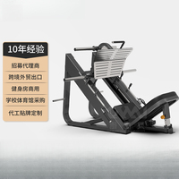 Machine commerciale en acier à 45 degrés pour l'entraînement de la force des hanches et des jambes, incluant Squat incliné, Hack Squat et exercices à jambes séparées
