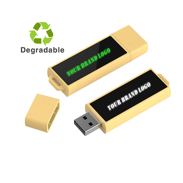 Degradable Custom Usb Key Drive Recyclable Materials 2.0 3.0 Usb Flash Drive Personalized LED Usb Flash Memory