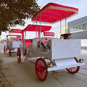 Carroza Eléctrica Turística Económica, Perfecta para Eventos y Atracciones - Product Image 6