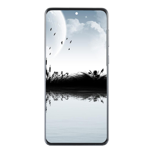 จอแสดงผล LCD สำหรับโทรศัพท์มือถือ <span class=keywords><strong>Oppo</strong></span> Reno 11 <span class=keywords><strong>f</strong></span> ขายส่ง จอแสดงผลสำหรับ <span class=keywords><strong>Oppo</strong></span> Reno 11 <span class=keywords><strong>f</strong></span> แผงจอ LCD แบบสัมผัส - Product Image 4