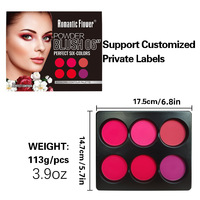 Palette de fard à joues en poudre 6 couleurs cosmétiques d'exportation du commerce extérieur transfrontalier spécialement conçue maquillage naturel imperméable