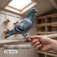 Traceur GPS pour pigeons de course 2,2 g ultra léger avec 30 jours d'autonomie et boîtier IP67 pour les amateurs de pigeons