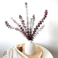 Bouquets de mariage en feuilles d'eucalyptus vertes naturelles, décorations de fleurs d'eucalyptus séchées et préservées, décoration intérieure, feuilles d'eucalyptus