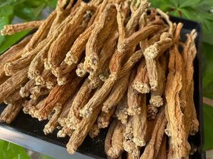 Erva chinesa Codonopsis Raiz Planta inteira ou fatia Codonopsis Ginseng Codonopsis Lanceolata - Product Image 5