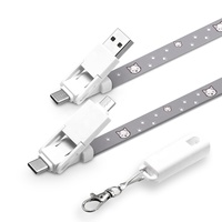 Câble USB 6-en-1 avec cordon tour de cou, charge rapide PD 60W, câble de données, longueur intégrale, sangle en polyester imprimée par sublimation, cadeau d'entreprise