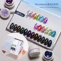 Missgel OEM – Coffret de vernis à ongles gel effet œil de chat 12 couleurs, sans HEMA, série œil de chat personnalisée 15 ml, ensemble de gels magnétiques œil de chat sans HEMA