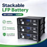 Batería de ciclo profundo LiFePO4 de 51.2V 100Ah 5kWh, 6000+ ciclos, paquete de baterías de iones de litio para almacenamiento solar montado en rack