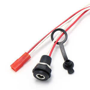 Câble adaptateur JST 2 broches vers prise jack DC 20AWG pour ruban LED – Faisceau de câblage personnalisé - Product Image 3
