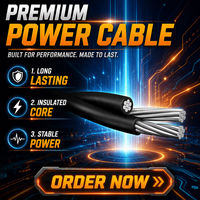 Cable de Servicio Triplex de Aluminio Neritina de 600V, Fase ACSR, Neutro, 1/0AWG, Cable de Servicio Aéreo Trenzado XLPE PE