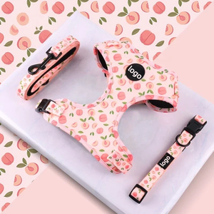 Wholesale 2026 Fruit Peach Pet Collars Hands Free Dog Leash Harness Luxury Sublimation Custom Harness Dog