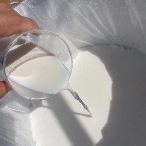 Indurente Penetrante per Muri Moderni Boslai Anti-Spallamento per <span class=keywords><strong>Rivenditori</strong></span> <span class=keywords><strong>Edili</strong></span>, Agente Fissante per Sabbia per Riparazione del Calcestruzzo - Product Image 3