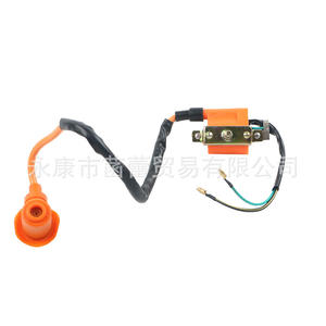 Transformateur d'allumage haute tension pour véhicule tout-terrain (ATV) et moto, catégorie de produits : systèmes d'allumage électriques pour moto - Product Image 1