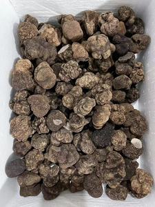 DETAN-DETAN 2021-2022, suministro para nueva temporada, gran textura, Tuber Indium, Negro salvaje, seta de trufa de invierno - Product Image 4