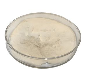 מכירת מפעל באיכות גבוהה אבקת קולגן פפטיד דגים מחזק תזונתי מחזק אנרגיה - Product Image 3