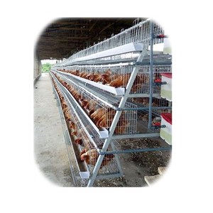 Porta Automatica per Pollaio di Piccole Dimensioni in Vendita - Product Image 1