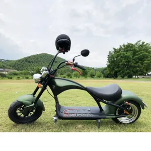 Holland Warehouse Electric Scooter Citycoco 1500W / 2000W Electric scooter high power with big tire