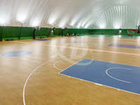 Installation efficace Dôme gonflable de football supporté par air pour divers sports Expédition personnalisée pour musées en tissu PVC