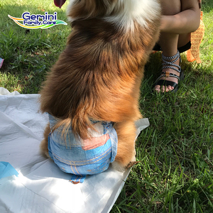 Pañales Desechables para Mascotas, Suministro Directo de Fábrica, Personalizados, para Cachorros y Perros Mayores, Transpirables, No Tejidos, Ajuste Seguro, Alta Absorción - Product Image 4