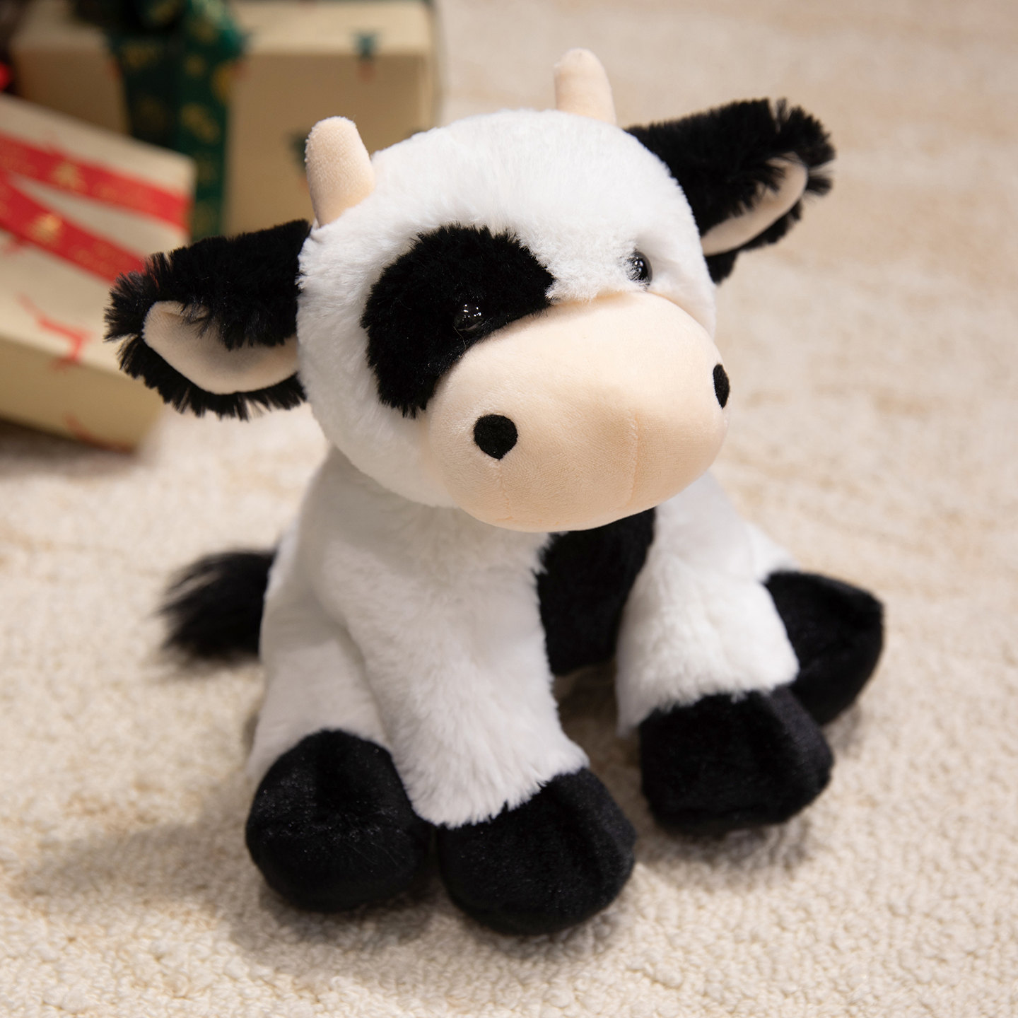 Dairy cow