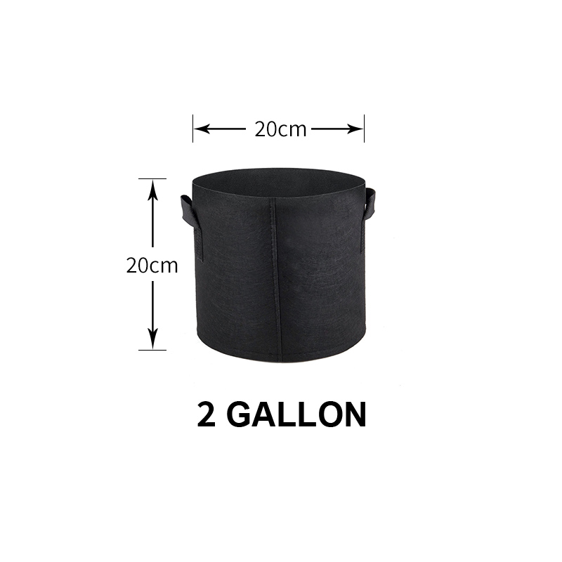 Noir-2 GAL