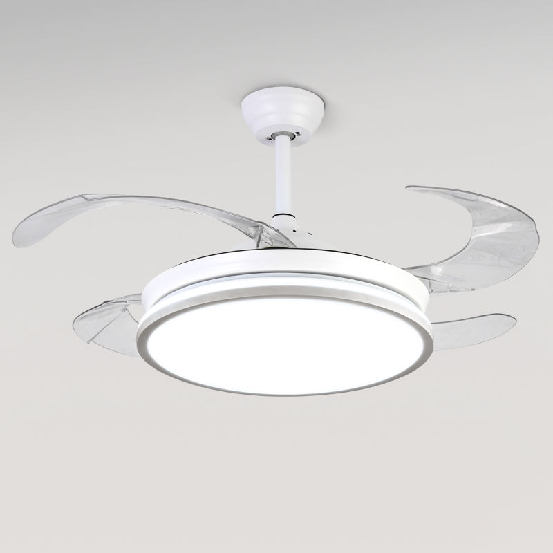 ขาว+เงิน