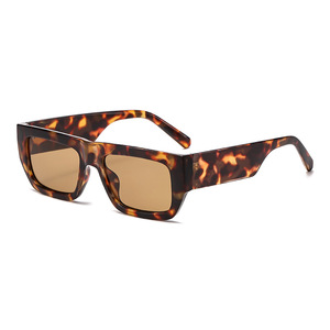 2025 nuevas gafas de sol 4768R Etro marco gris ligero UV400 Lentes de vidrio marco negro gafas de sol - Product Image 3