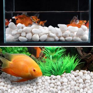 Hooggepolijste Witte Riviersteentjes Voor Kamerplanten Of Buitentuin Landschapsarchitectuur Decoratieve Stenen Voor Aquariumaquarium - Product Image 3