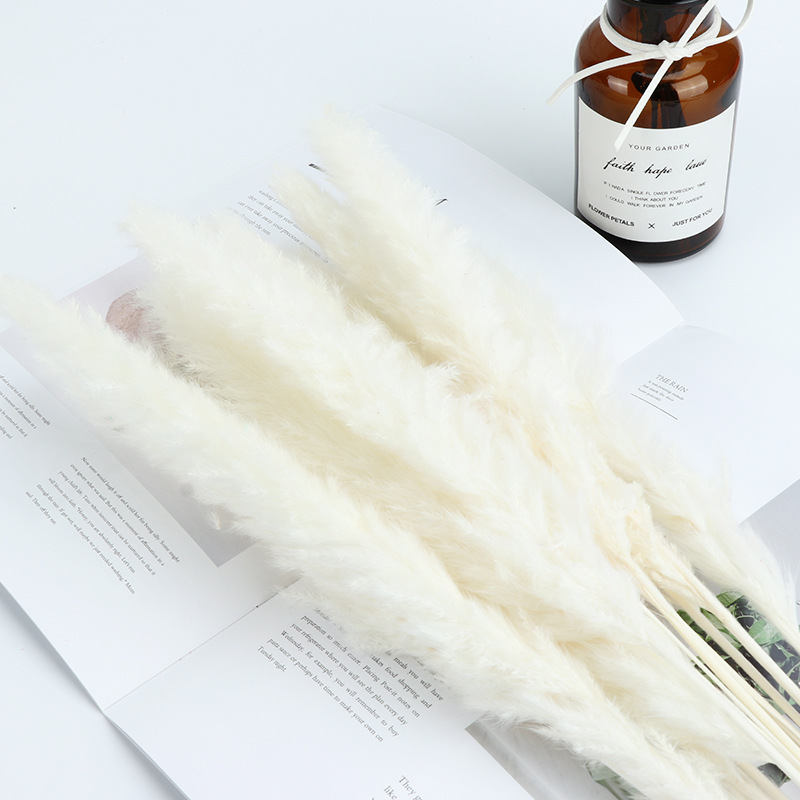 Blanc 15 pièces/sac