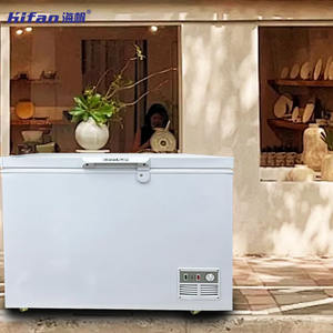 Congélateur commercial, congélateur profond, équipement de réfrigération robuste, porte en mousse haute performance, vitre sans givre, économe en énergie - Product Image 5