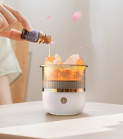 Mini humidificateur d'air USB diffuseur d'huile essentielle de pierre de sel de l'Himalaya humidificateur d'aromathérapie