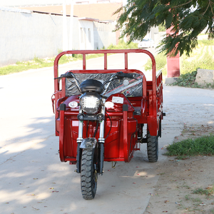 Low-Cost Gas-Powered Tricycle for Efficient Goods Transportation Reliable Tricycle <b>Gasoline</b> Motorcycle - Product Image 4