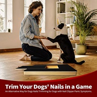Jeu amusant coupe-ongles en bois pour animaux de compagnie anxieux Outil de toilettage sans stress Gratte-papier de verre écologique