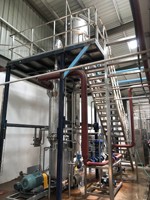 Tomatenpuree Productielijn Tomatenverwerkingsmachine Concentrateur De Tomate