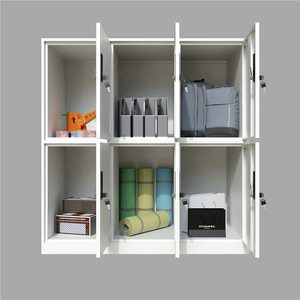 Hot Sale Metal <b>Locker</b> 6 Door School <b>Lockers</b> Colorful Small <b>Locker</b> for Public Places - Product Image 4