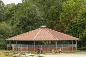 Marcheur de chevaux professionnel abordable <span class=keywords><strong>à</strong></span> vitesse variable Machine <span class=keywords><strong>d</strong></span>'entraînement équine <span class=keywords><strong>à</strong></span> vitesse réglable avec ou sans toit - Product Image 3