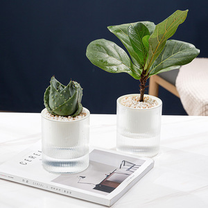 Taiyuan Self Watering Flower <b>Pots</b> Transparent Hydroponic Planters Minimalist Desktop Green Plant <b>Pots</b> One Piece Molding - Product Image 4