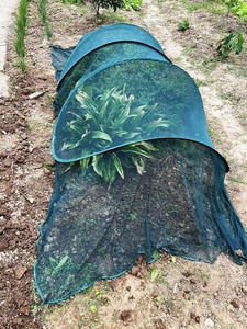Modern Mesh Anti-Insect Easy Assembly Adjustable Green Mini Metal <b>Garden</b> Tunnel Greenhouse for Plant - Product Image 4
