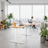 Bureau en bambou de conception nouvelle pour le bureau, bureau relevable, bureau assis-debout Ecomax