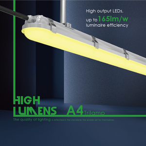 Luminaires LED SMD2835 étanches IP65 OEM ODM à haute luminosité sans scintillement 60 cm 2FT-8FT Batten linéaire industriel pour <span class=keywords><strong>sous</strong></span>-sols - Product Image 2