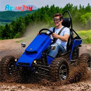 Apexjoy Polaris 3 - Go Kart Elettrico Fuoristrada per Adulti, Kart da Corsa a 4 Ruote, Motore 3000W, 200kg, 100km/h, 72V 60Ah - Vendita all'Ingrosso - Product Image 1