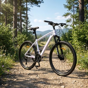 Vélo Urbain Léger à <span class=keywords><strong>Cadre</strong></span> en Alliage d'Aluminium Personnalisable OEM/ODM, Frein à Disque, Double Suspension, Roues de 24/26 Pouces - Vente en Gros Usine - Product Image 1