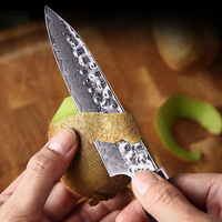 Couteau à fruits FINDKING série Eternity, 5 pouces, lame en acier Damas 9Cr18MoV à 67 couches, manche en résine, couteau utilitaire de cuisine