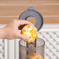 Stilte, professionele, heavy-duty, zelfreinigende slowjuicer voor het maken van sap van hele groenten en fruit.
